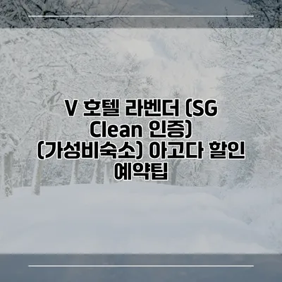V 호텔 라벤더 (SG Clean 인증) (가성비숙소) 아고다 할인 예약팁