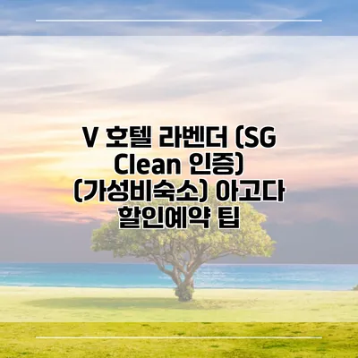 V 호텔 라벤더 (SG Clean 인증) (가성비숙소) 아고다 할인예약 팁