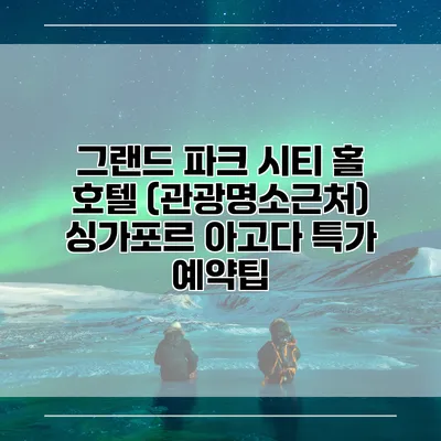 그랜드 파크 시티 홀 호텔 (관광명소근처) 싱가포르 아고다 특가 예약팁