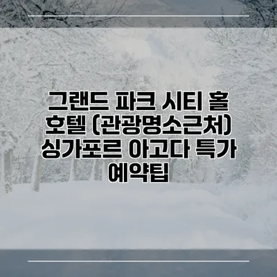 그랜드 파크 시티 홀 호텔 (관광명소근처) 싱가포르 아고다 특가 예약팁