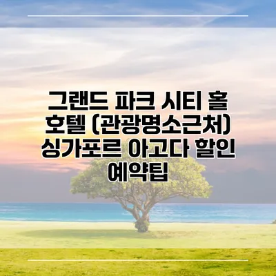 그랜드 파크 시티 홀 호텔 (관광명소근처) 싱가포르 아고다 할인 예약팁