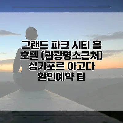 그랜드 파크 시티 홀 호텔 (관광명소근처) 싱가포르 아고다 할인예약 팁