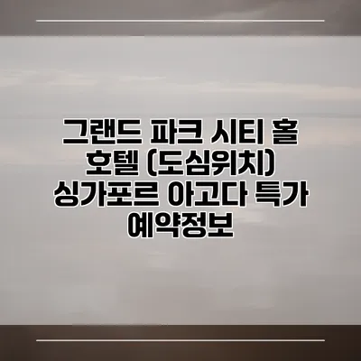 그랜드 파크 시티 홀 호텔 (도심위치) 싱가포르 아고다 특가 예약정보