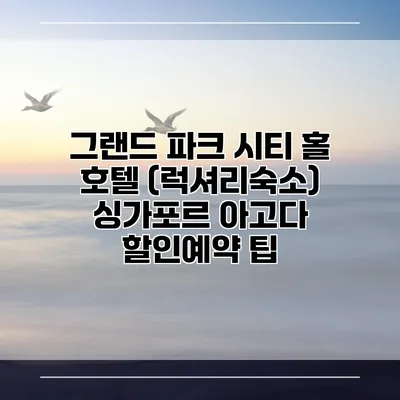그랜드 파크 시티 홀 호텔 (럭셔리숙소) 싱가포르 아고다 할인예약 팁