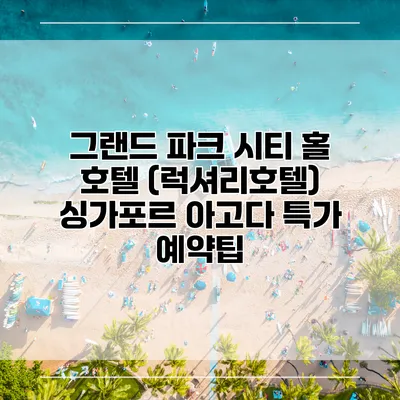 그랜드 파크 시티 홀 호텔 (럭셔리호텔) 싱가포르 아고다 특가 예약팁