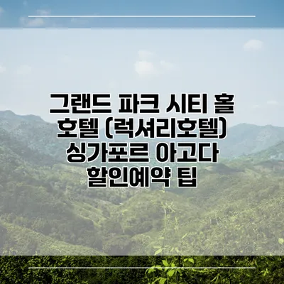 그랜드 파크 시티 홀 호텔 (럭셔리호텔) 싱가포르 아고다 할인예약 팁