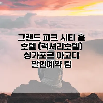 그랜드 파크 시티 홀 호텔 (럭셔리호텔) 싱가포르 아고다 할인예약 팁
