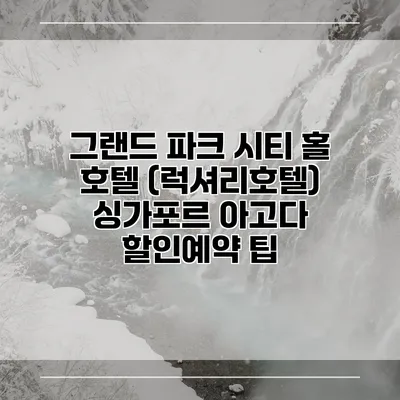 그랜드 파크 시티 홀 호텔 (럭셔리호텔) 싱가포르 아고다 할인예약 팁