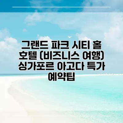 그랜드 파크 시티 홀 호텔 (비즈니스 여행) 싱가포르 아고다 특가 예약팁