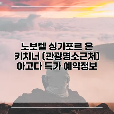 노보텔 싱가포르 온 키치너 (관광명소근처) 아고다 특가 예약정보