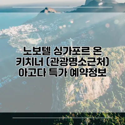 노보텔 싱가포르 온 키치너 (관광명소근처) 아고다 특가 예약정보