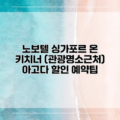 노보텔 싱가포르 온 키치너 (관광명소근처) 아고다 할인 예약팁