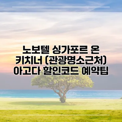 노보텔 싱가포르 온 키치너 (관광명소근처) 아고다 할인코드 예약팁
