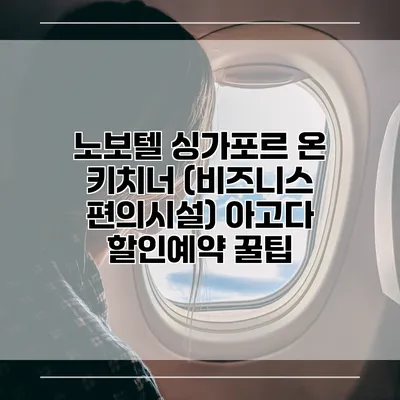 노보텔 싱가포르 온 키치너 (비즈니스 편의시설) 아고다 할인예약 꿀팁