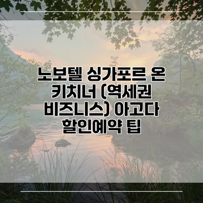 노보텔 싱가포르 온 키치너 (역세권 비즈니스) 아고다 할인예약 팁