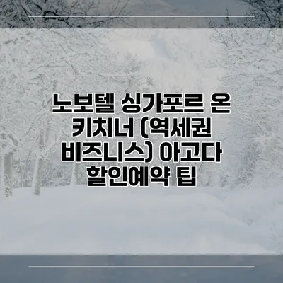 노보텔 싱가포르 온 키치너 (역세권 비즈니스) 아고다 할인예약 팁