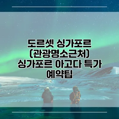 도르셋 싱가포르 (관광명소근처) 싱가포르 아고다 특가 예약팁