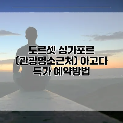 도르셋 싱가포르 (관광명소근처) 아고다 특가 예약방법