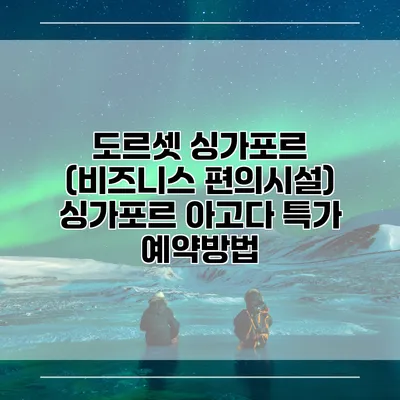 도르셋 싱가포르 (비즈니스 편의시설) 싱가포르 아고다 특가 예약방법