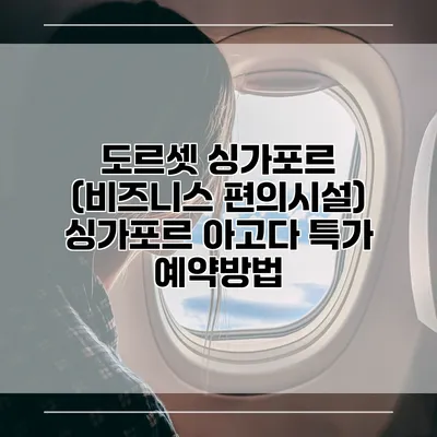 도르셋 싱가포르 (비즈니스 편의시설) 싱가포르 아고다 특가 예약방법