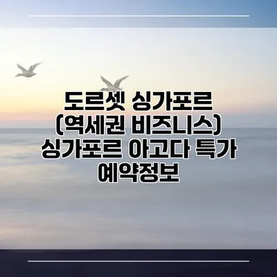 도르셋 싱가포르 (역세권 비즈니스) 싱가포르 아고다 특가 예약정보