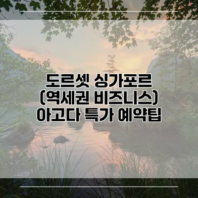 도르셋 싱가포르 (역세권 비즈니스) 아고다 특가 예약팁