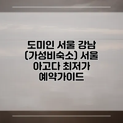 도미인 서울 강남 (가성비숙소) 서울 아고다 최저가 예약가이드