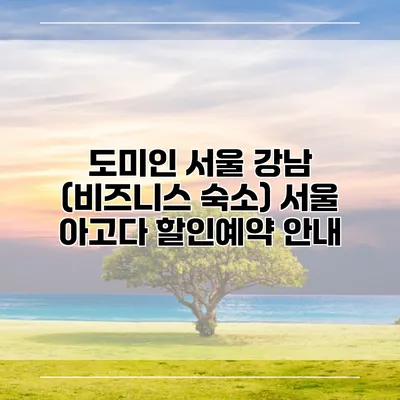 도미인 서울 강남 (비즈니스 숙소) 서울 아고다 할인예약 안내