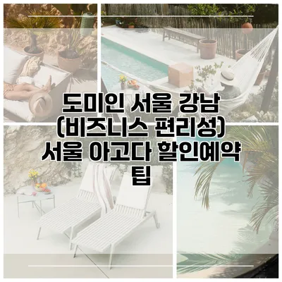 도미인 서울 강남 (비즈니스 편리성) 서울 아고다 할인예약 팁