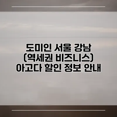 도미인 서울 강남 (역세권 비즈니스) 아고다 할인 정보 안내