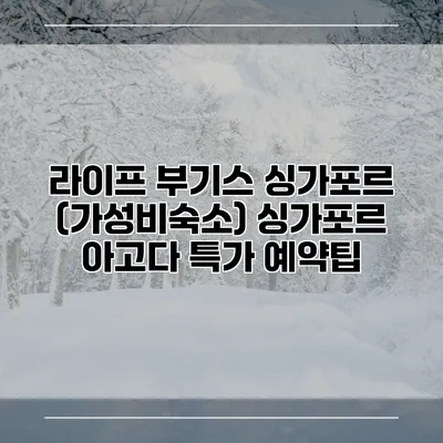 라이프 부기스 싱가포르 (가성비숙소) 싱가포르 아고다 특가 예약팁
