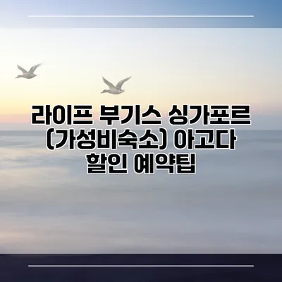 라이프 부기스 싱가포르 (가성비숙소) 아고다 할인 예약팁