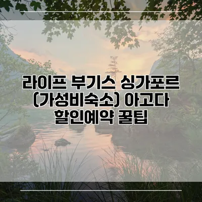 라이프 부기스 싱가포르 (가성비숙소) 아고다 할인예약 꿀팁