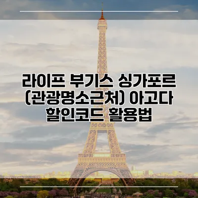 라이프 부기스 싱가포르 (관광명소근처) 아고다 할인코드 활용법