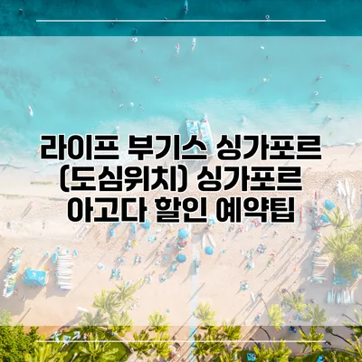라이프 부기스 싱가포르 (도심위치) 싱가포르 아고다 할인 예약팁