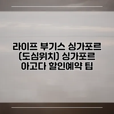 라이프 부기스 싱가포르 (도심위치) 싱가포르 아고다 할인예약 팁