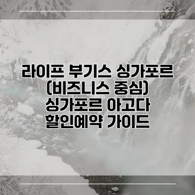 라이프 부기스 싱가포르 (비즈니스 중심) 싱가포르 아고다 할인예약 가이드