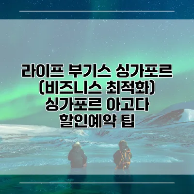 라이프 부기스 싱가포르 (비즈니스 최적화) 싱가포르 아고다 할인예약 팁