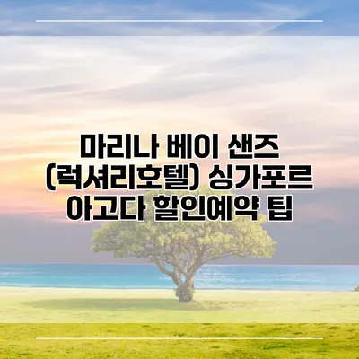 마리나 베이 샌즈 (럭셔리호텔) 싱가포르 아고다 할인예약 팁