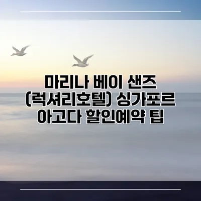 마리나 베이 샌즈 (럭셔리호텔) 싱가포르 아고다 할인예약 팁