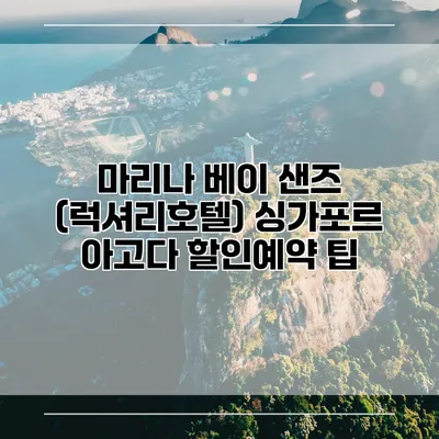 마리나 베이 샌즈 (럭셔리호텔) 싱가포르 아고다 할인예약 팁