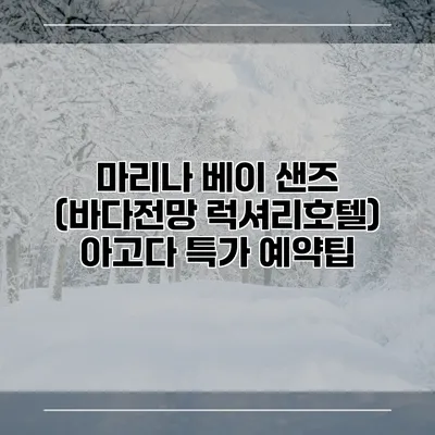 마리나 베이 샌즈 (바다전망 럭셔리호텔) 아고다 특가 예약팁