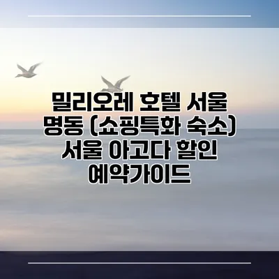 밀리오레 호텔 서울 명동 (쇼핑특화 숙소) 서울 아고다 할인 예약가이드