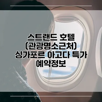 스트랜드 호텔 (관광명소근처) 싱가포르 아고다 특가 예약정보