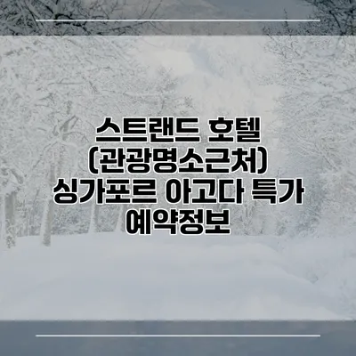 스트랜드 호텔 (관광명소근처) 싱가포르 아고다 특가 예약정보