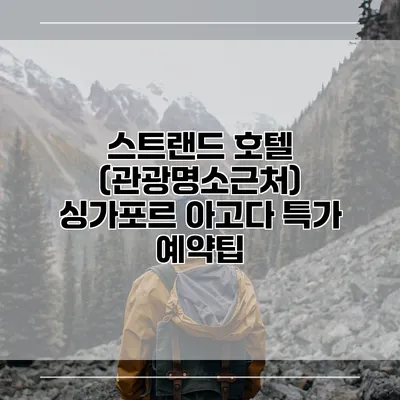 스트랜드 호텔 (관광명소근처) 싱가포르 아고다 특가 예약팁