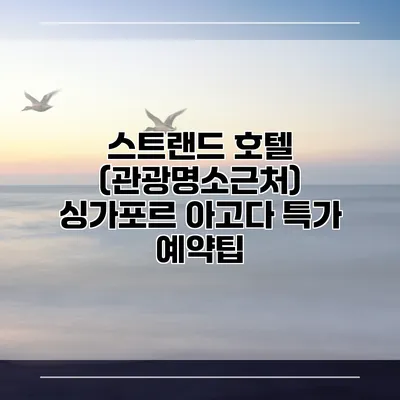 스트랜드 호텔 (관광명소근처) 싱가포르 아고다 특가 예약팁