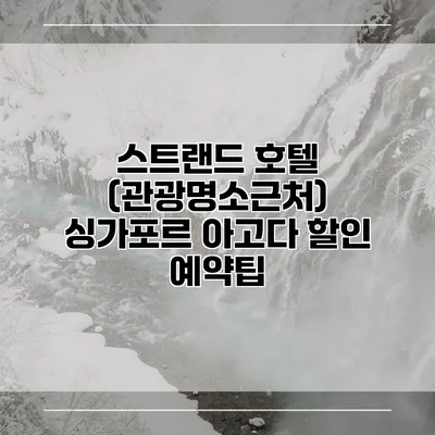 스트랜드 호텔 (관광명소근처) 싱가포르 아고다 할인 예약팁