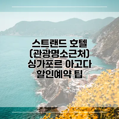 스트랜드 호텔 (관광명소근처) 싱가포르 아고다 할인예약 팁