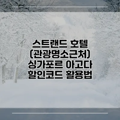 스트랜드 호텔 (관광명소근처) 싱가포르 아고다 할인코드 활용법